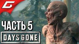 DAYS GONE (Жизнь После)  Прохождение #5  ГНЁЗДА ФРИКОВ