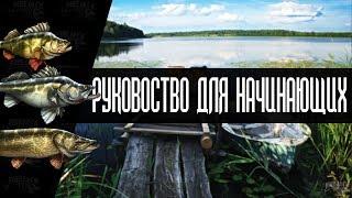 Русская Рыбалка 4. Гайд для новичков #1 | Russian Fishing 4 Guide.