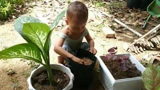 It's Baby's Gardening Time - Waktunya Bayi (Haziq) Berkebun