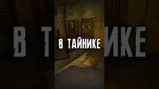 Новый Лучший Режим в STALKER #Shorts