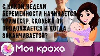 С какой недели беременности начинается 3 триместр, сколько он продолжается и когда заканчивается?