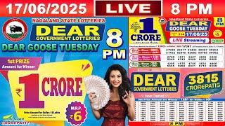 [LIVE] Lottery 8:00 PM Dear Nagaland state lottery live draw result 17.06.2025 | Lottery live