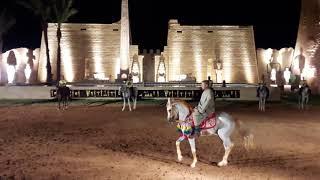 Arabian Horse dancing in Pharaonic Village