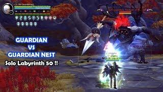 Guardian solo on Guardian Nest LB 50 Dragon Nest 2020