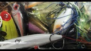 AliExpress better than Temu Megabass knock off crank baits cheap affordable bass lures