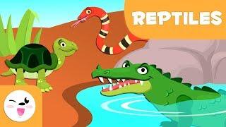 Les reptiles pour enfants - Les animaux vertébrés - Les sciences naturelles pour enfants