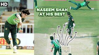 Naseem Shah Fantastic Bowling vs New Zealand | PCB | M2B2A