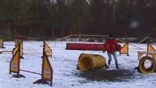 Agility -Anfänge