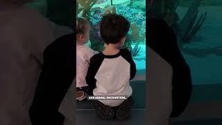 THINGS TO DO: Orlando Science Center celebrates one year of ‘Life’ exhibit