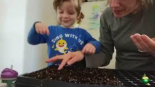 Just Start the Seeds and Teach Your Children to Garden |Stewpendous Growth 2024|