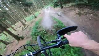 Ladies Only 2024 | Full Run | Deisterfreunde | Enduro | uncut