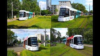 [Neuer Werbewagen] VGF Straßenbahn Frankfurt Alstom Citadis SX05 T-Wagen 307 auf der Linie 17