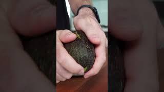 How to Choose a GOOD Avocado