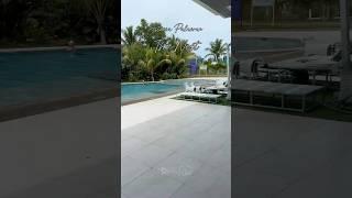 ASTORIA PALAWAN || The Nestling (Reception)