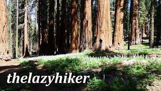 Trail of the Sequoias in Two Minutes - Sequoia National Park