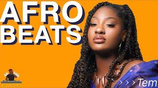 AFROBEATS MIX |AFROBEATS BEST |AFROBEATS 2021(CKAY LOVE NWANTITI TIKTOK REMIX, ESSENCE REMIX,BIEBER)