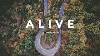 ALIVE
