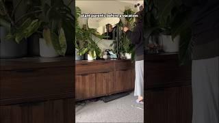 this is why plant parents don’t go on holiday