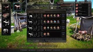 BDO Guides Horse Breeding!!!