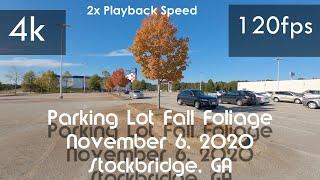 ⁴ᵏ120fps/Hz Video (Smartphone Compatible)|️Speed To 2x |️ Autumn Leaves Parking Lot | Nov 2020