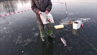 Клевое место д.Савельево.Обзор поимок третий сектор.