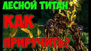 КАК ПРИРУЧИТЬ ЛЕСНОГО ТИТАНА? (2 СПОСОБА) ► Ark: Extinction