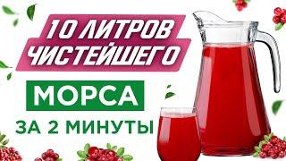 Как приготовить морс из клюквы? Готовим чистейший морс