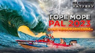 PAL 2023 ФИНАЛ / ГОРЕ МОРЕ / ПЕРВЫЙ ГОД в PRO ANGLERS LEAGUE