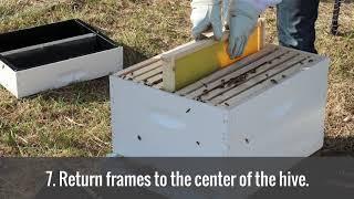 Wooden Package - Package Bee Instructional Video