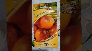 Красивый томат с необычным названием  #теплица #сад #огород