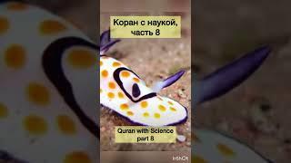 Quran and Science (Part 8) | Коран и наука (часть 8) #islam #ислам #коран #explore #shorts