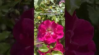 When the Birds and the Bees Meet the FART  #TheManniiShow.com/series