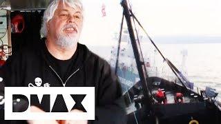 Sea Shepherds Collide With Harpoon Ship While Trying To Stop Whaling | Whale Wars