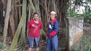 DISCOVERY & REAL STORY OF A SACRED TOMB WITH VERY HUGE TREE ROOTS - KUMPI JASIH DEPOK