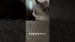 너 7개월이야 인마