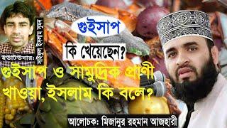 Is Seafood Halal or Haram? । Bangla waz ।  Mizanur Rahman Azhari । Maimuna Tv24