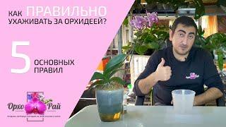 Как ПРАВИЛЬНО ухаживать за орхидеей? | 5 основных правил!