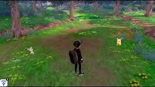 When Mimikyu Sees a wild Pikachu......