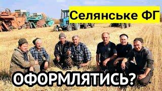 Одноосібник чи Селянське ФГ? НЕ МОЖНА продавати за ГОТІВКУ! Не платити податки чи оформитись?