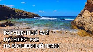 Опасная красота. Чуть не затянуло в море. Песчаная лилия на берегу. Заказник Хабоним Бич. Израиль