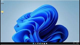 Windows 11 Pro - LiteOS [Build 22000.65]