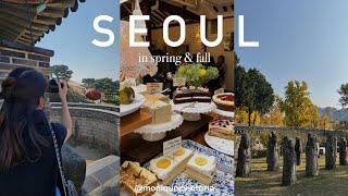 spring & fall in Seoul  day trip to suwon, michelin eats, blue and orange skies