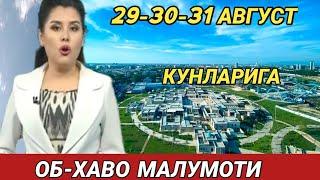 29-30-31 АВГУСТЬ  КУНЛАРИ УЧУН ОБ ХАВО МАЛУМОТИ, ob havo