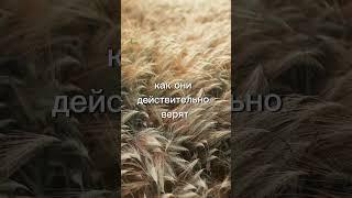 #христианство #протестантизм #христианскиецитаты #церковь #цитаты #бог #баптисты #макартур