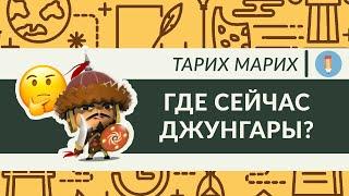 Джунгары. Кто такие и где они сейчас? История Калмыкии. Почему джунгары и казахи воевали?