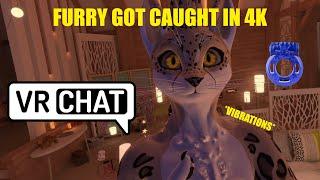 Furry got caught in 4K - VRChat