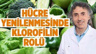 KLOROFİL Hangi Hastalıkların Tedavisinde Kullanılır? | Melek Feyza Karaman | Doktor Fitt