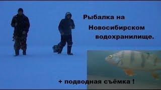 Рыбалка на Новосибирском водохранилище. Подводные съёмки. Зимняя рыбалка на окуня 2020