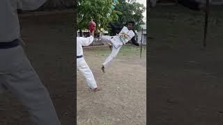 round house kick .. #m #nagpur #indiankarate #worldkarate #martialarts #karate #shorts #karateindia