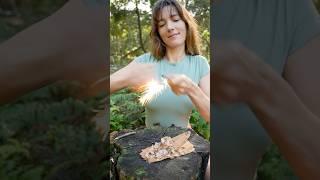 Bet You Didn't Know This!  Crazy Survival Hack #survival #outdoors #bushcraft #camping